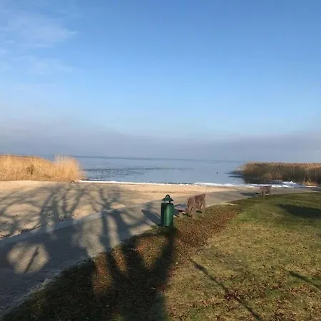 Ferien-bungalow Im Seebad Ueckermuendeot Bellin Casa vacanze